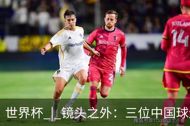 世界杯 | 镜头之外：三位中国球迷的绿茵热望
